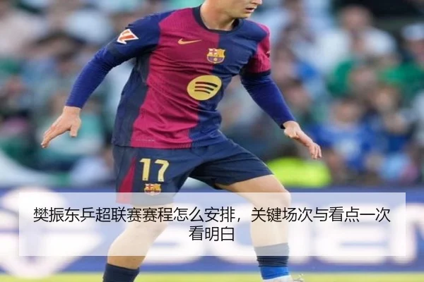樊振东乒超联赛赛程怎么安排，关键场次与看点一次看明白
